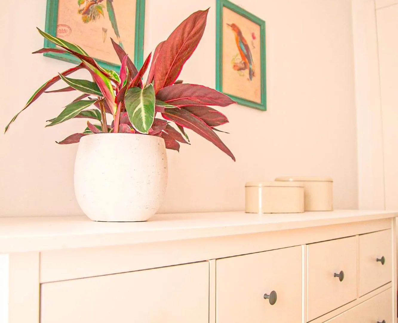 The Bonsai Apartment - Glamorous Chiado Lisbon Portugal